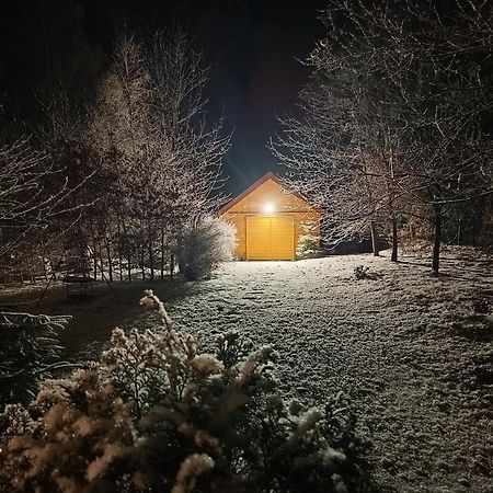 Villa Lupus - Apartament Z Prywatna Sauna Szklarska Poręba Eksteriør bilde